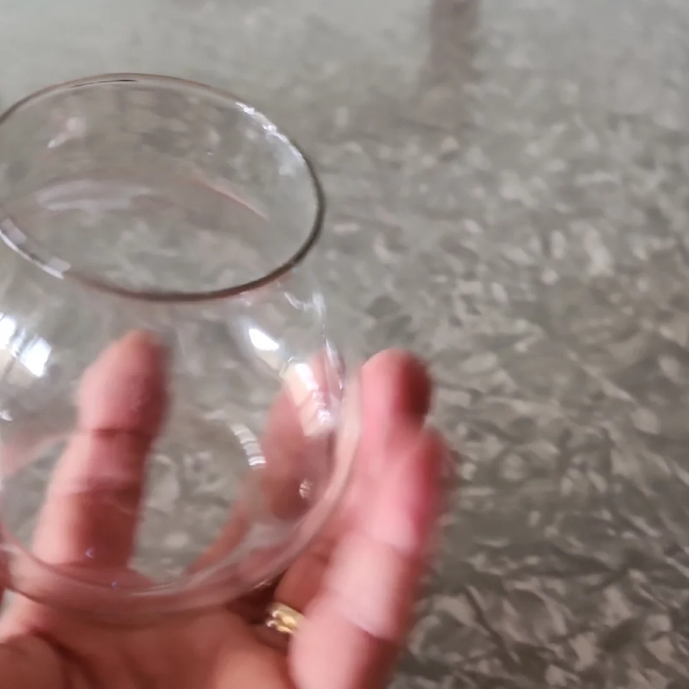 Elegant Clear Glass Globe
